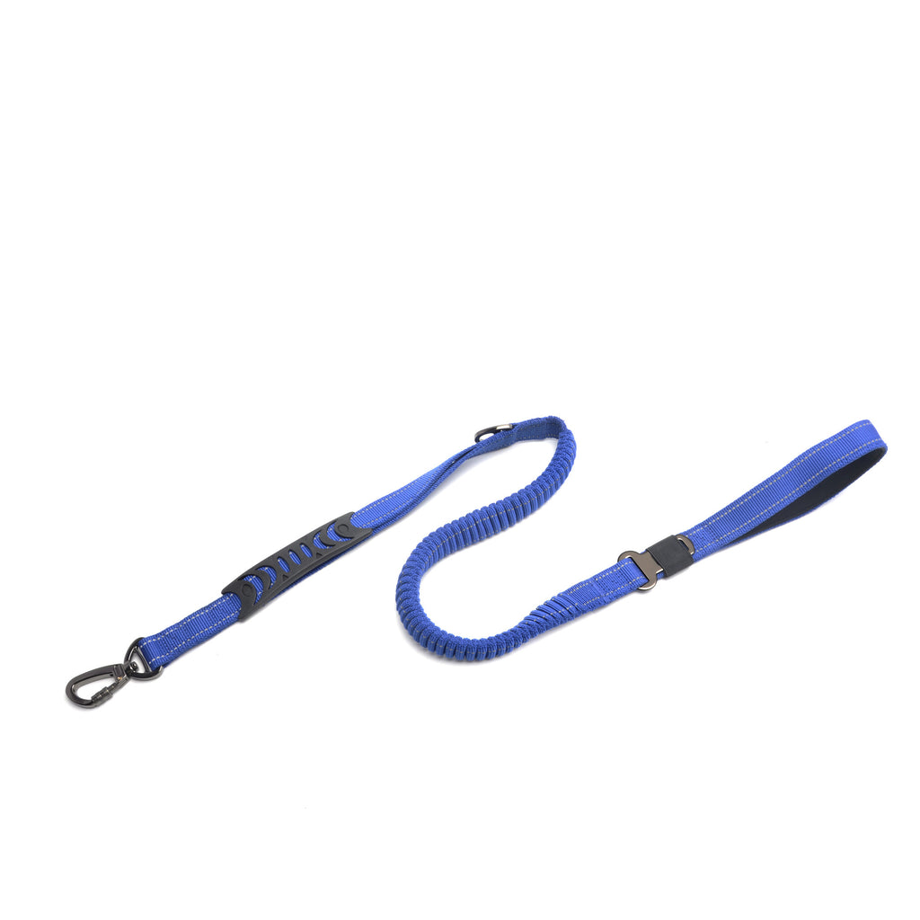 Elastische Hundeleine
