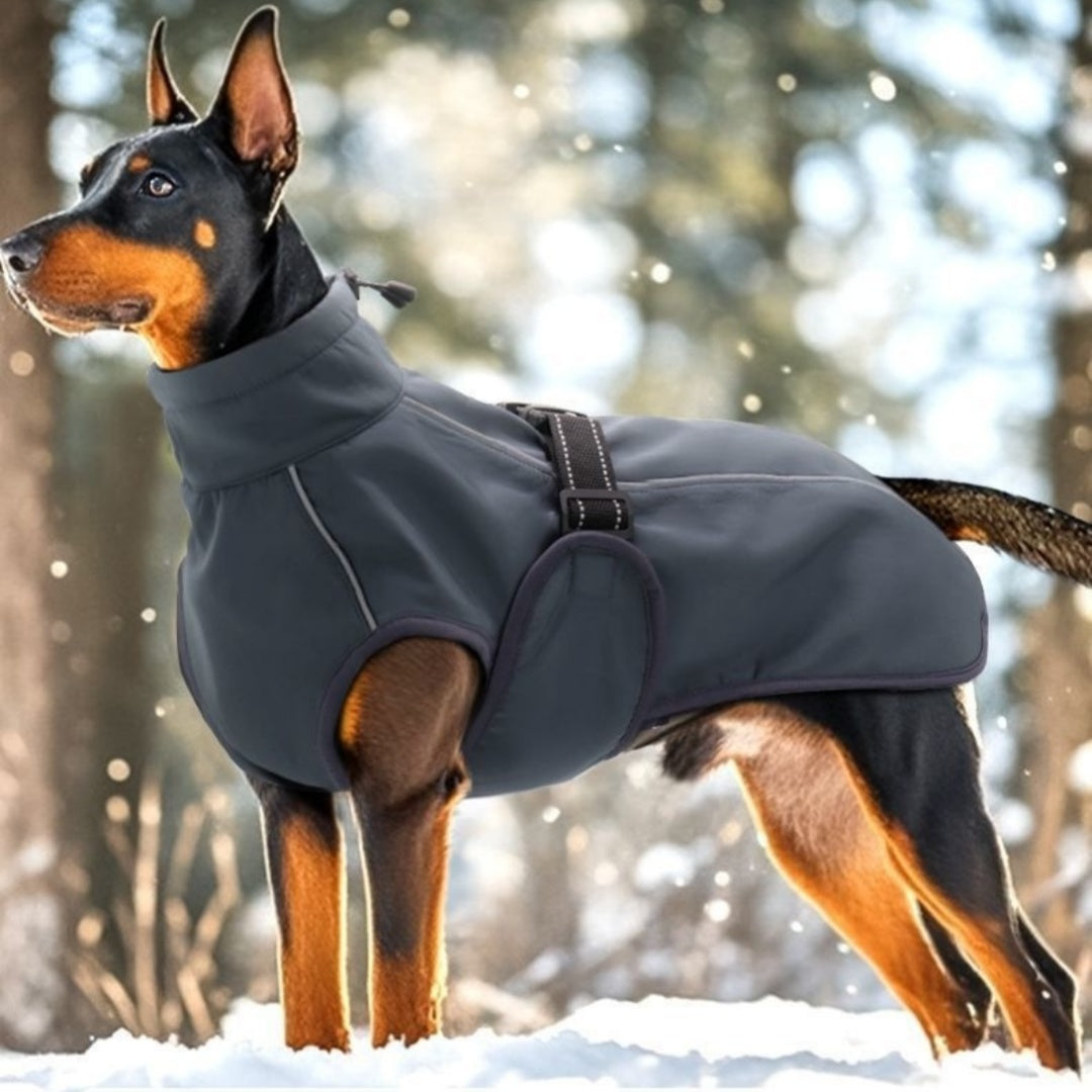 Winterweste für Hunde
