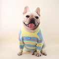Hundepullover gestreift | LuxeStyle