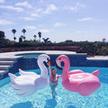 Aufblasbare Pool-Insel XL für 4 Personen – LuxeStyle Schweiz
