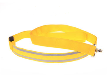 LED-Leuchtleine für Hunde – Bild 7 | LuxeStyle