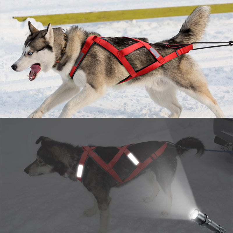 Hundegeschirr für Zugwagen – Bild 2 | LuxeStyle
