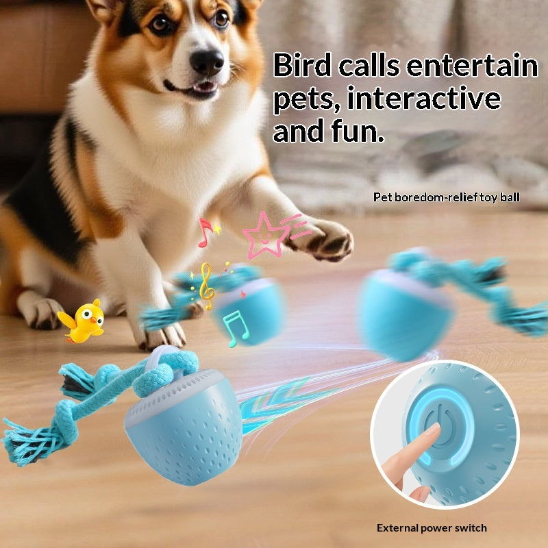 Beissfester Spielball für Hunde