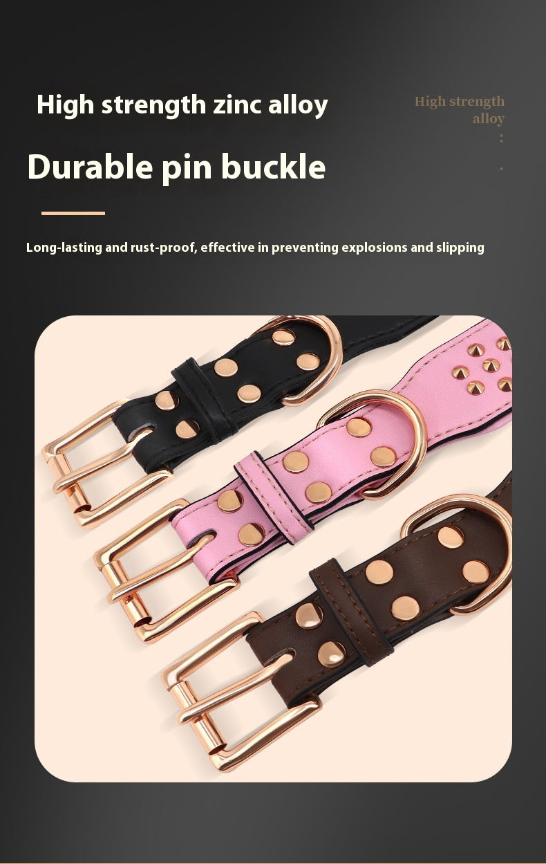 Hundehalsband – Bild 5 | LuxeStyle