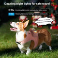 Hunde-Kühlgeschirr mit LED-Licht | LuxeStyle