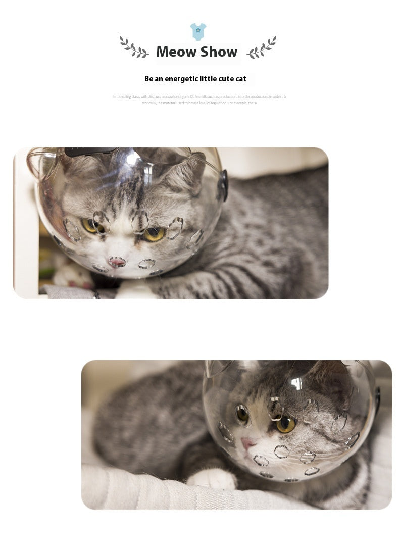 Anti-Kratz- und Leckschutz für Katzen – Bild 1 | LuxeStyle
