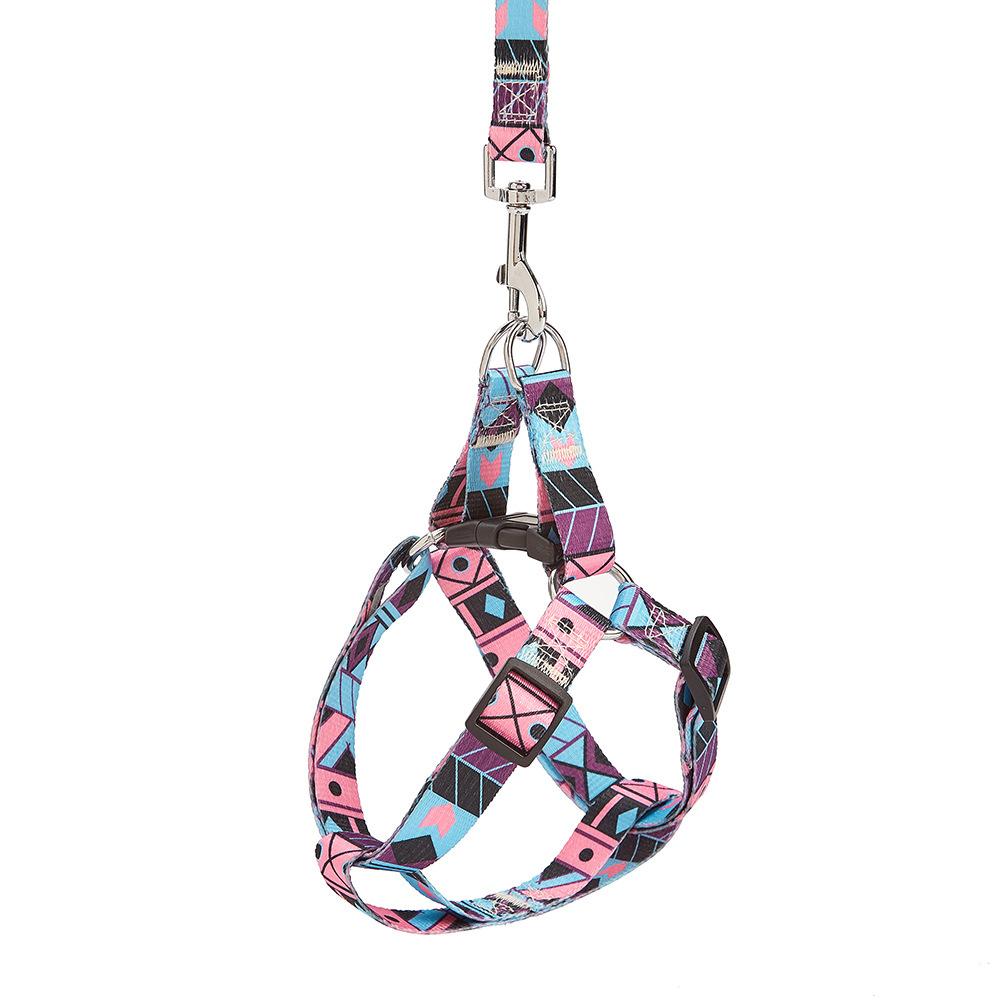 Nylon-Hundeleine für mittelgrosse Hunde – Bild 5 | LuxeStyle