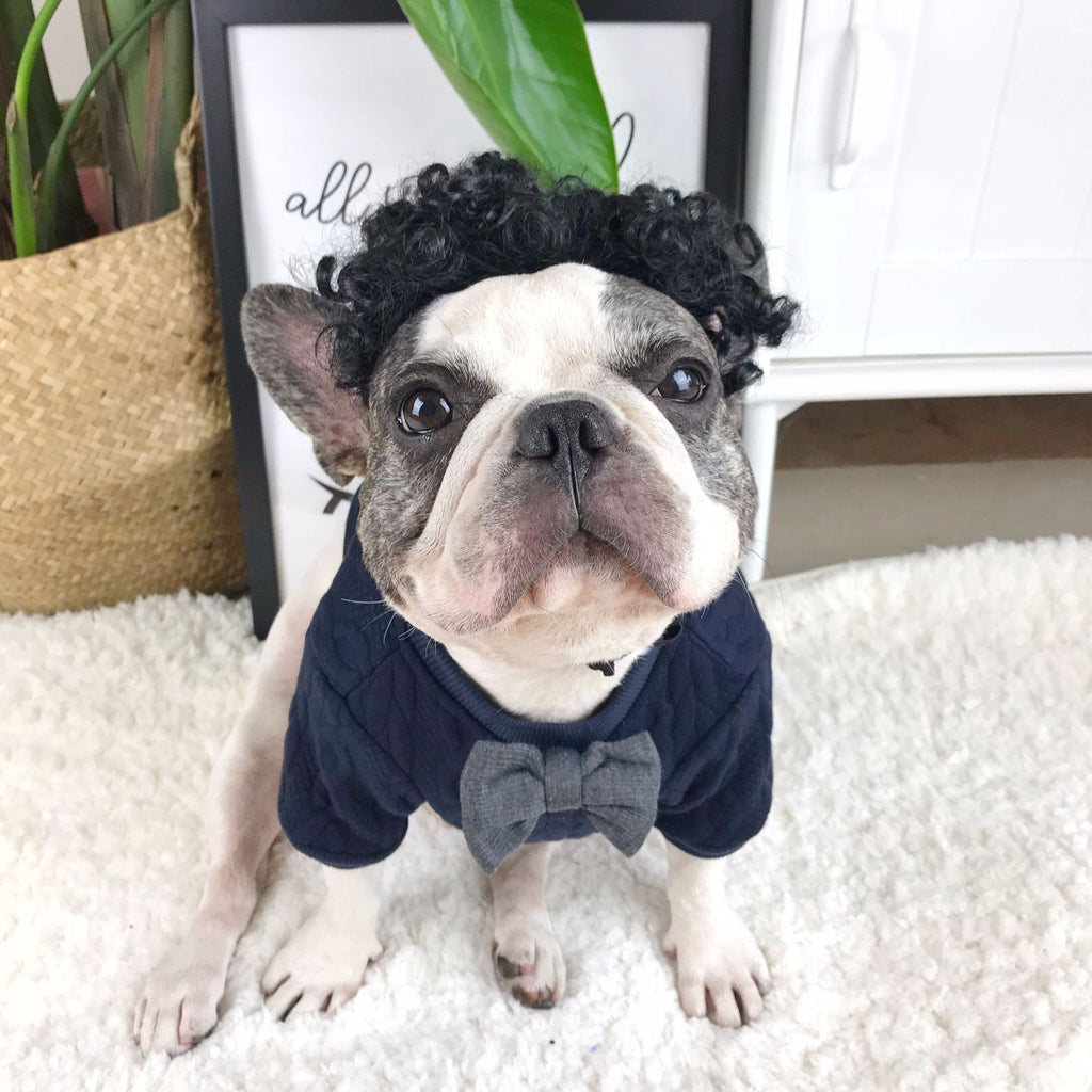 Wollpullover für Hund – blau, Grösse M – Bild 3 | LuxeStyle
