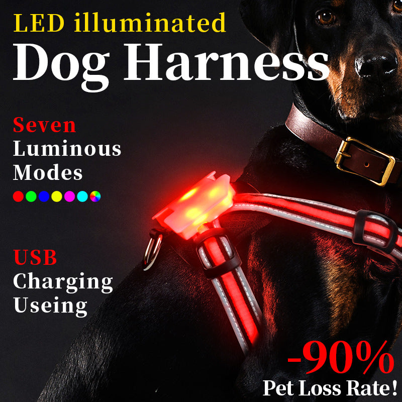 LED-Weste für Hunde
