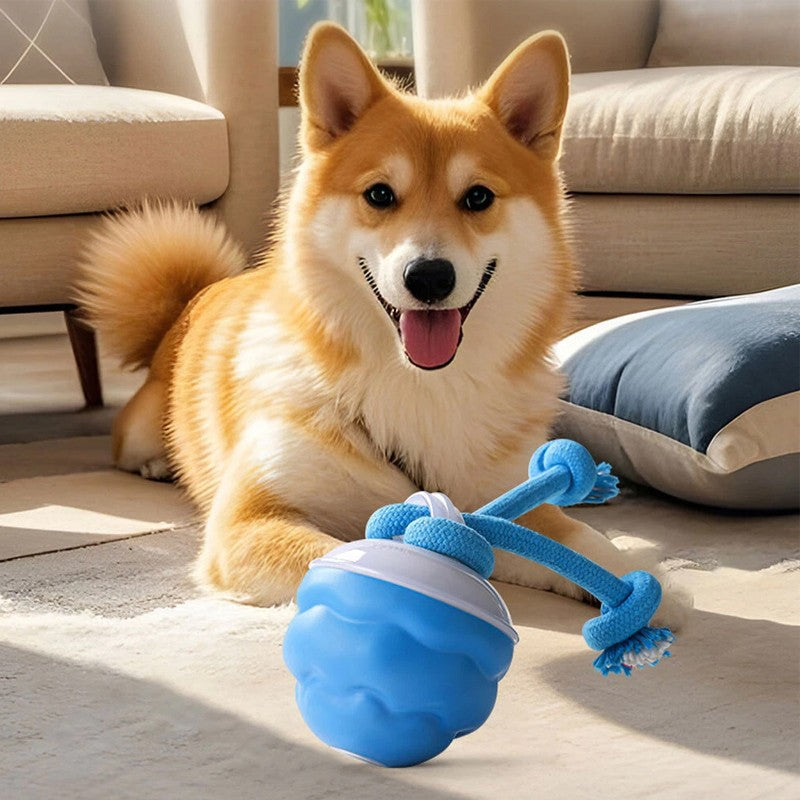 Chase Buddy Spielball mit Seilen