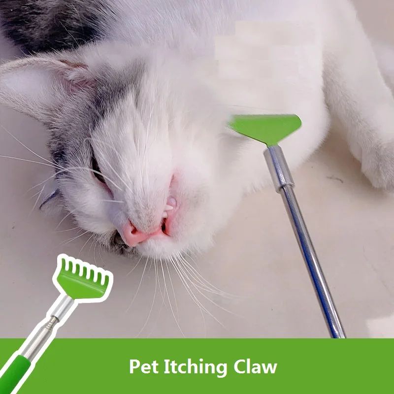 Interaktive Katzenbürste mit Kratzfunktion
