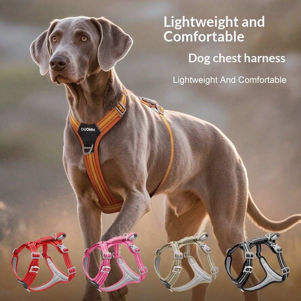 Reflektierendes Hundehalsband