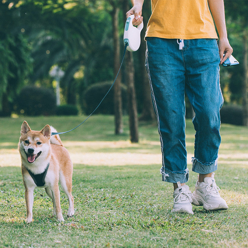 Rollleine für kleine bis grosse Hunde | LuxeStyle