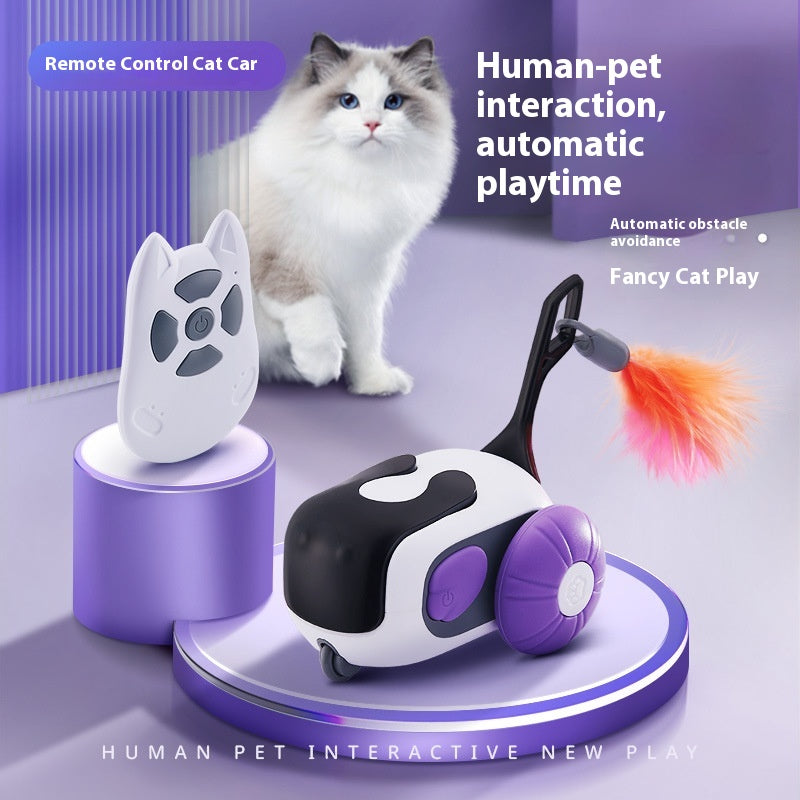 Smart Funny Cat ferngesteuertes Auto
