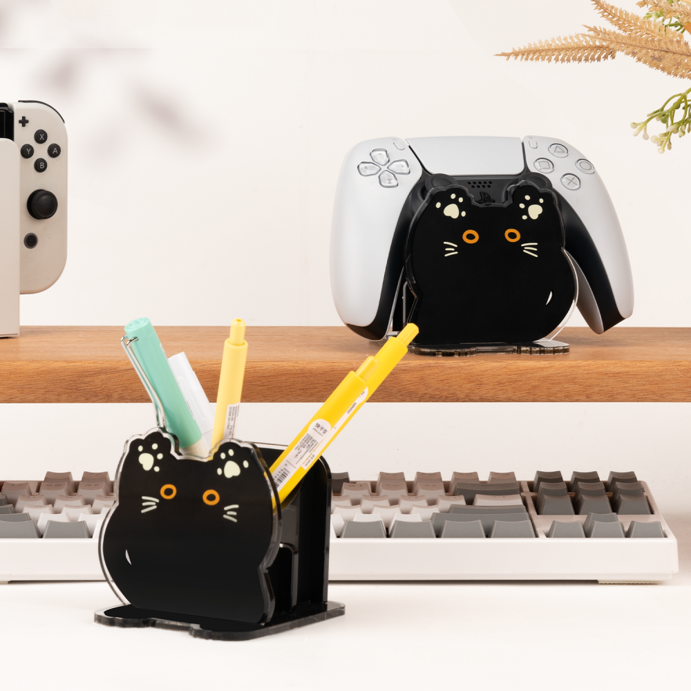 Acryl Aufbewahrungsbox für Controller