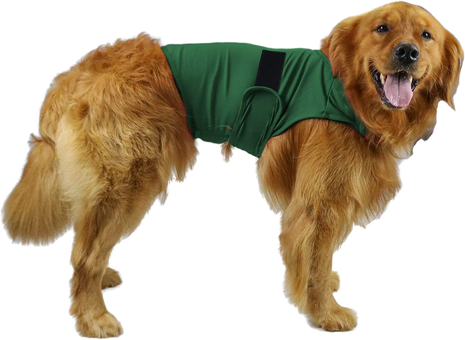 Beruhigende Hunde-Bekleidung für Trennungsangst