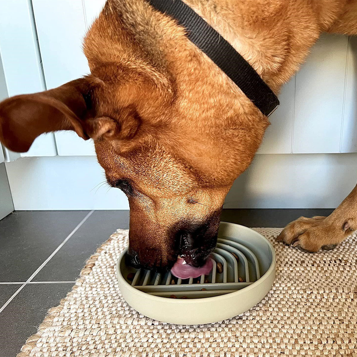 Katzen- und Hundeschüssel Slow Feeding – Bild 4 | LuxeStyle