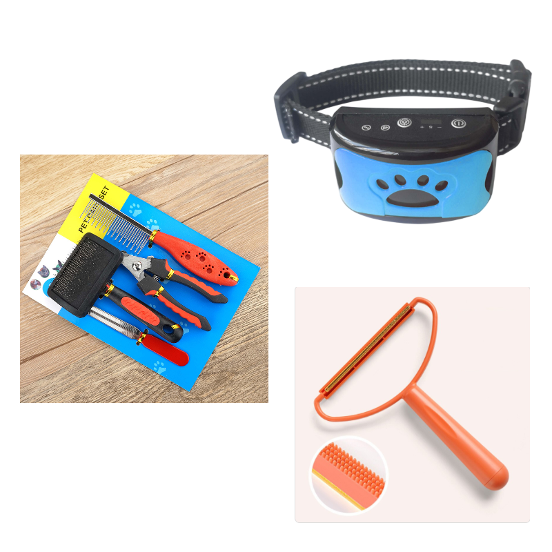 Hundestraining-Kollektiv – Bild 3 | LuxeStyle
