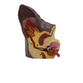 Hundeohr Anatomie-Modell – Bild 2 | LuxeStyle