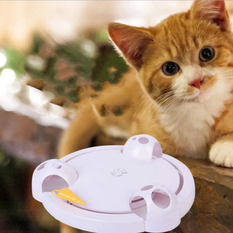 Katzen-Spielzeug – Bild 1 | LuxeStyle