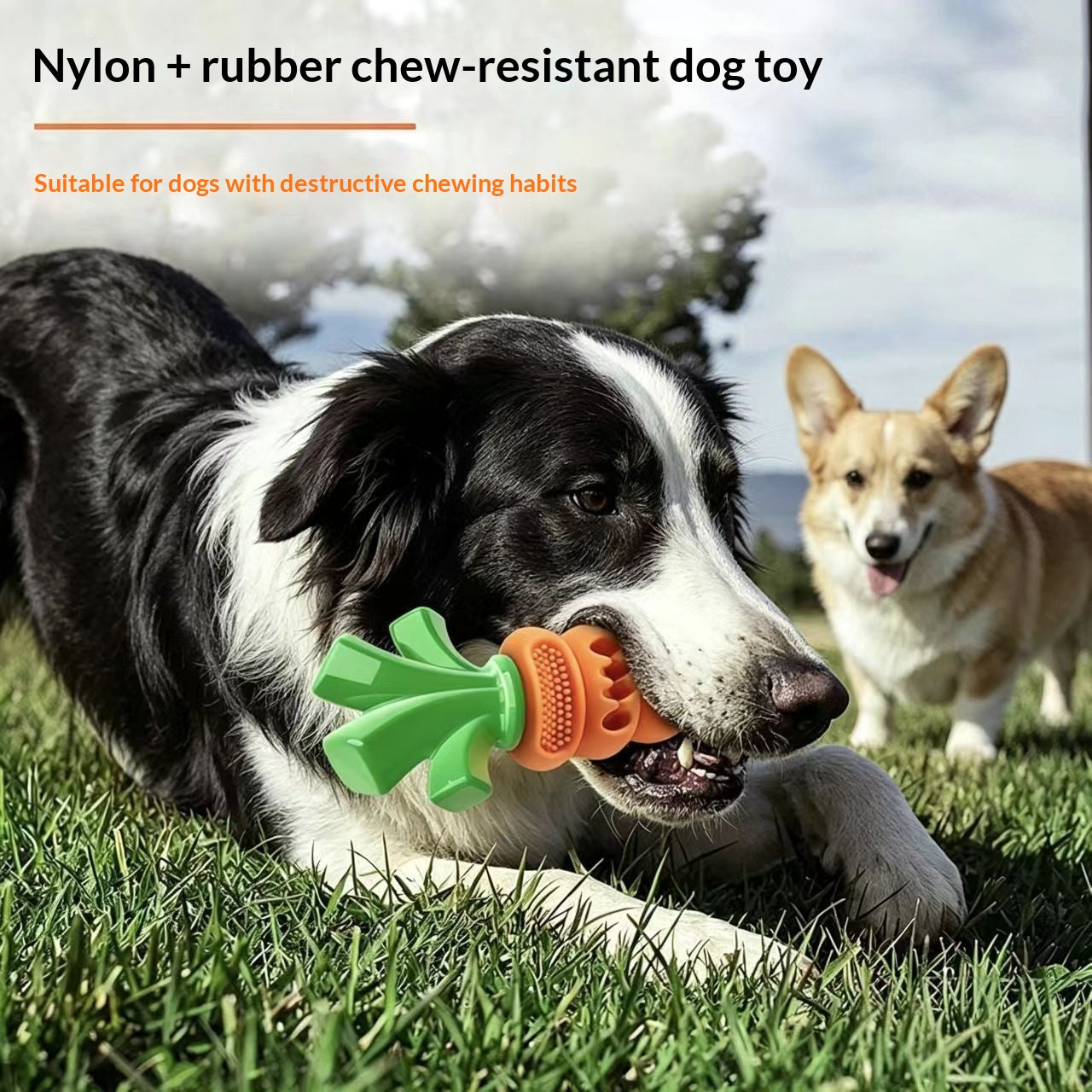 Nylon-Karotten-Spielzeug