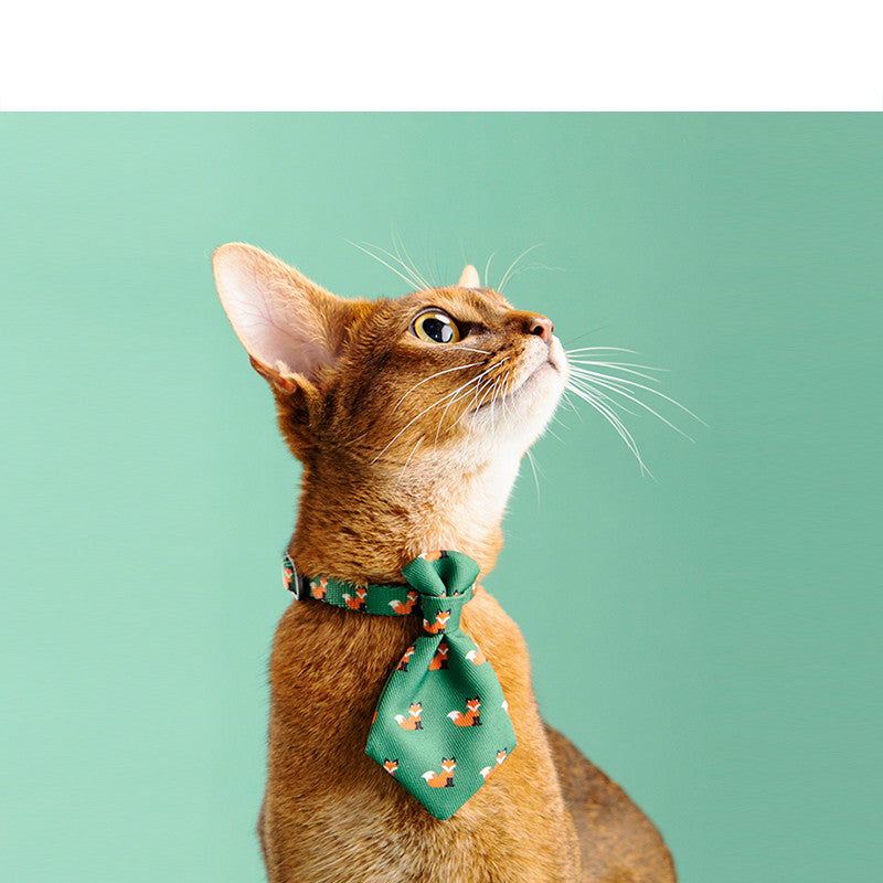 Hundefreundliche Krawatten – Bild 3 | LuxeStyle