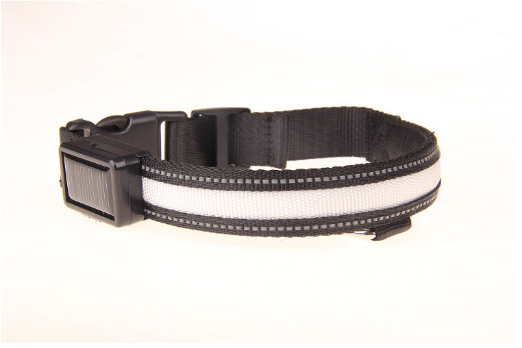 Sonnenschein-Halsband für Hunde | LuxeStyle