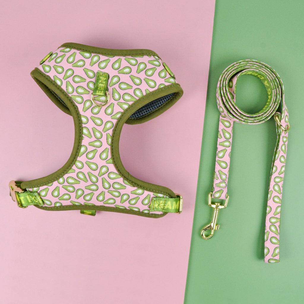 Halsband mit Traktionsgurt für Hunde