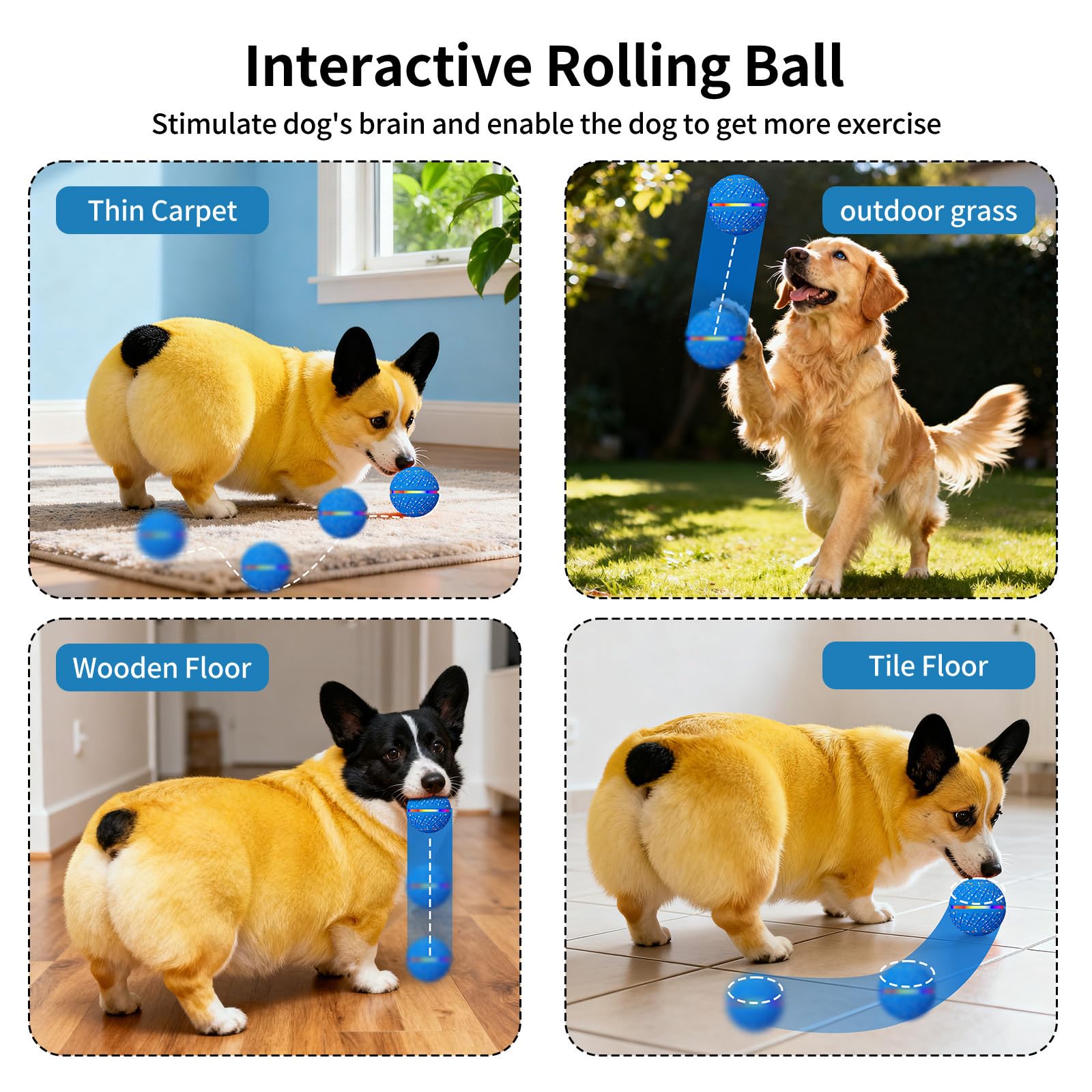 Interaktiver Hüpfball für Hunde