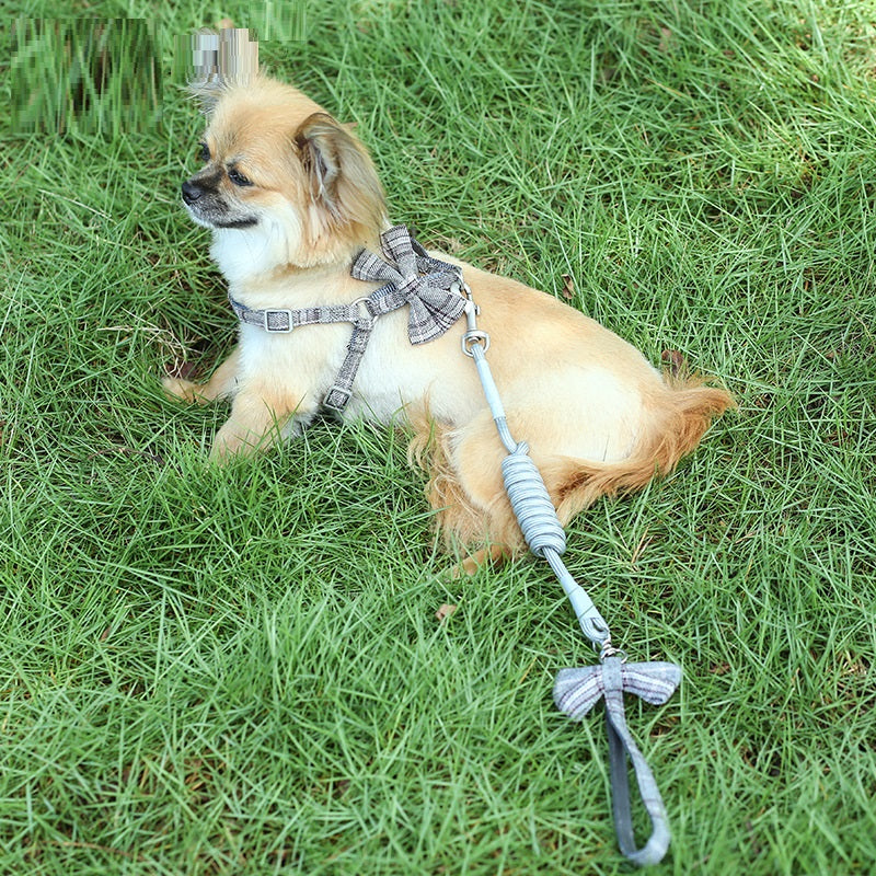 Hundeleine für kleine und mittelgrosse Hunde – Bild 5 | LuxeStyle