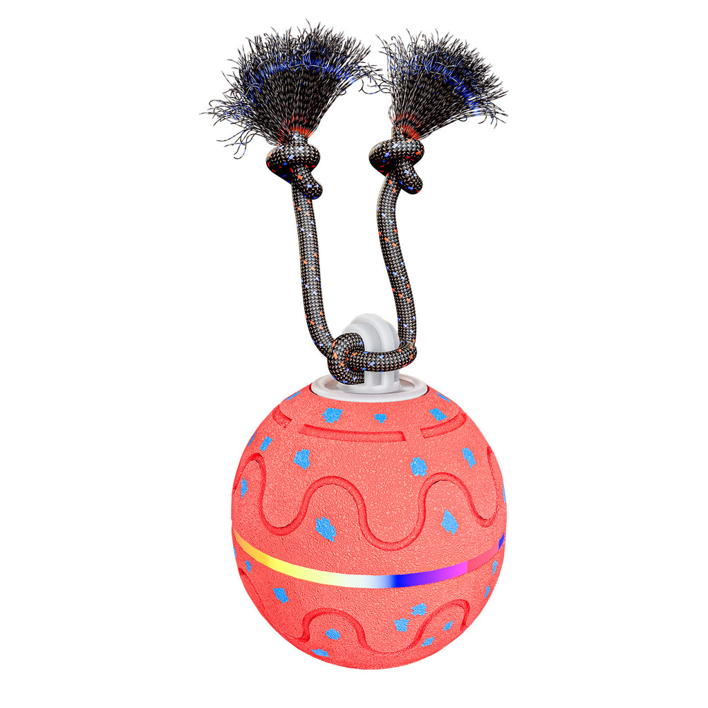 Smarter Spielball mit Licht und Ton – Bild 4 | LuxeStyle