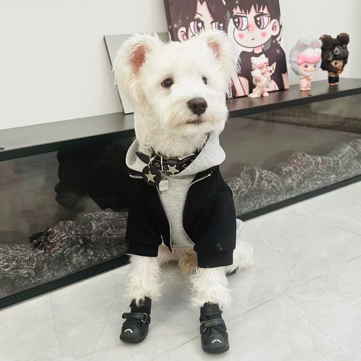 Hunde-Kapuzenpullover in Schwarz-Grau | LuxeStyle