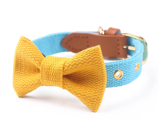 Halsband & Leine Set aus Canvas mit Schleife – Bild 7 | LuxeStyle