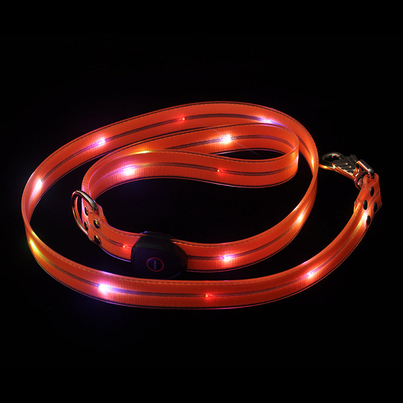 Leuchtendes Hundehalsband – Bild 4 | LuxeStyle