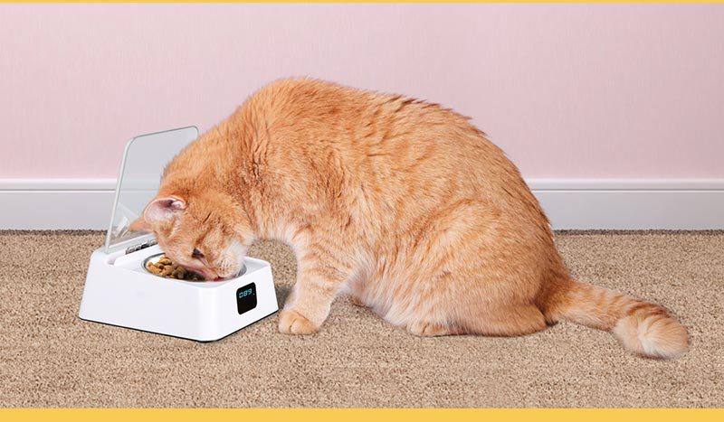 Futterautomat für Katzen und Hunde – Bild 2 | LuxeStyle