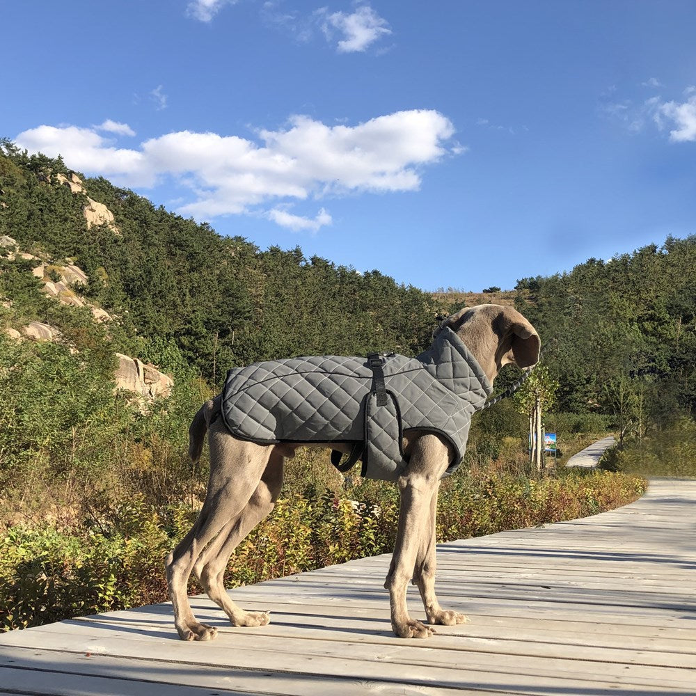 Reflektierende Taktikjacke für Hunde