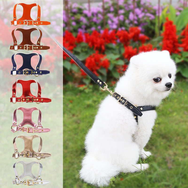 Leder-Brustgeschirr für Hunde und Katzen – Bild 3 | LuxeStyle