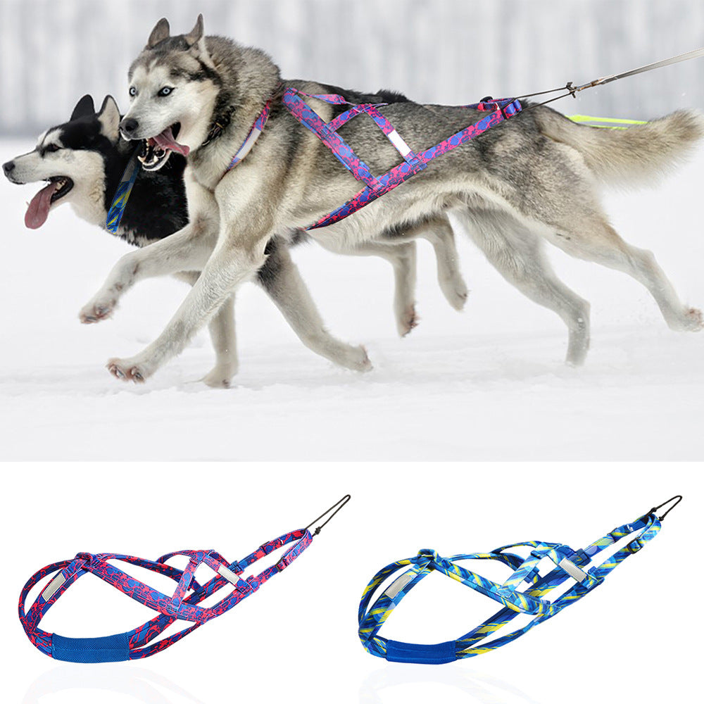 Hunde-Brustgeschirr mit Führseil – Bild 7 | LuxeStyle