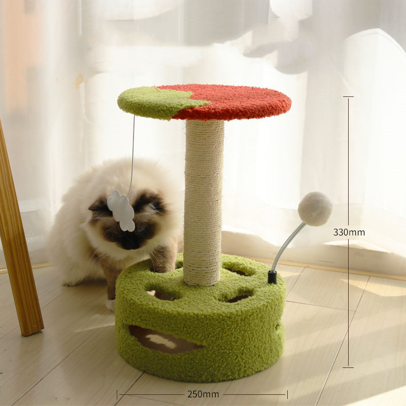 Kratzbaum für Kätzchen und kleine Katzen