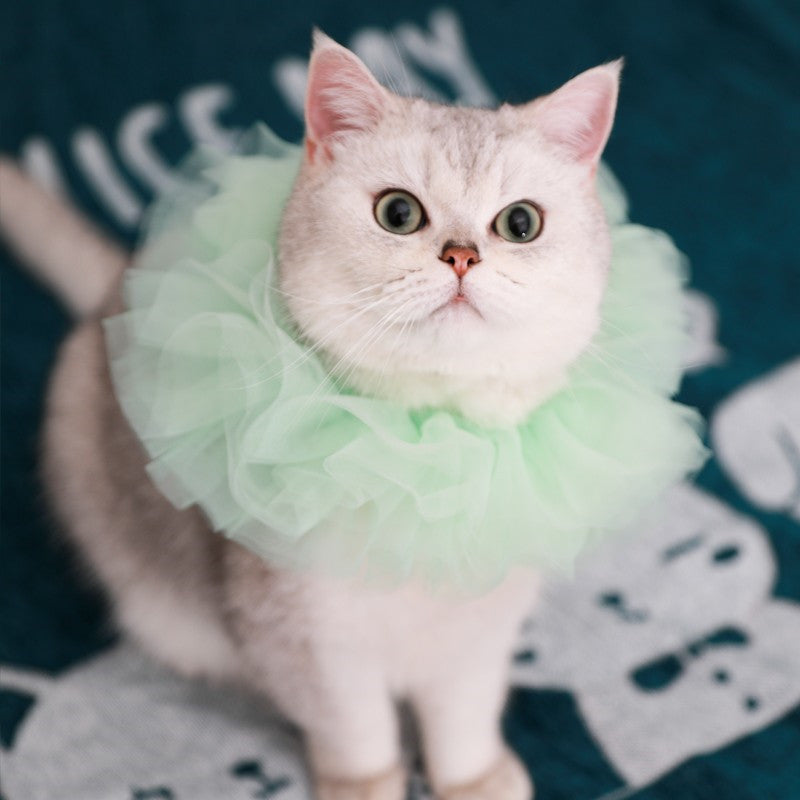 Katzen-Königsumhang mit Spitzenkragen – Bild 1 | LuxeStyle