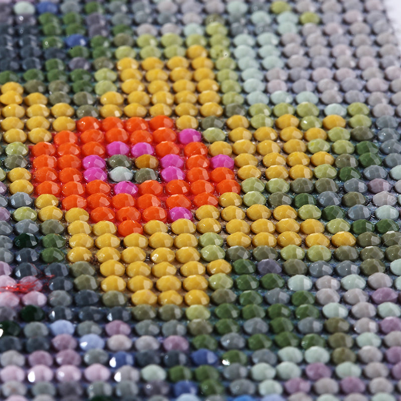 5D Diamond Painting «Edle Pfingstrose»