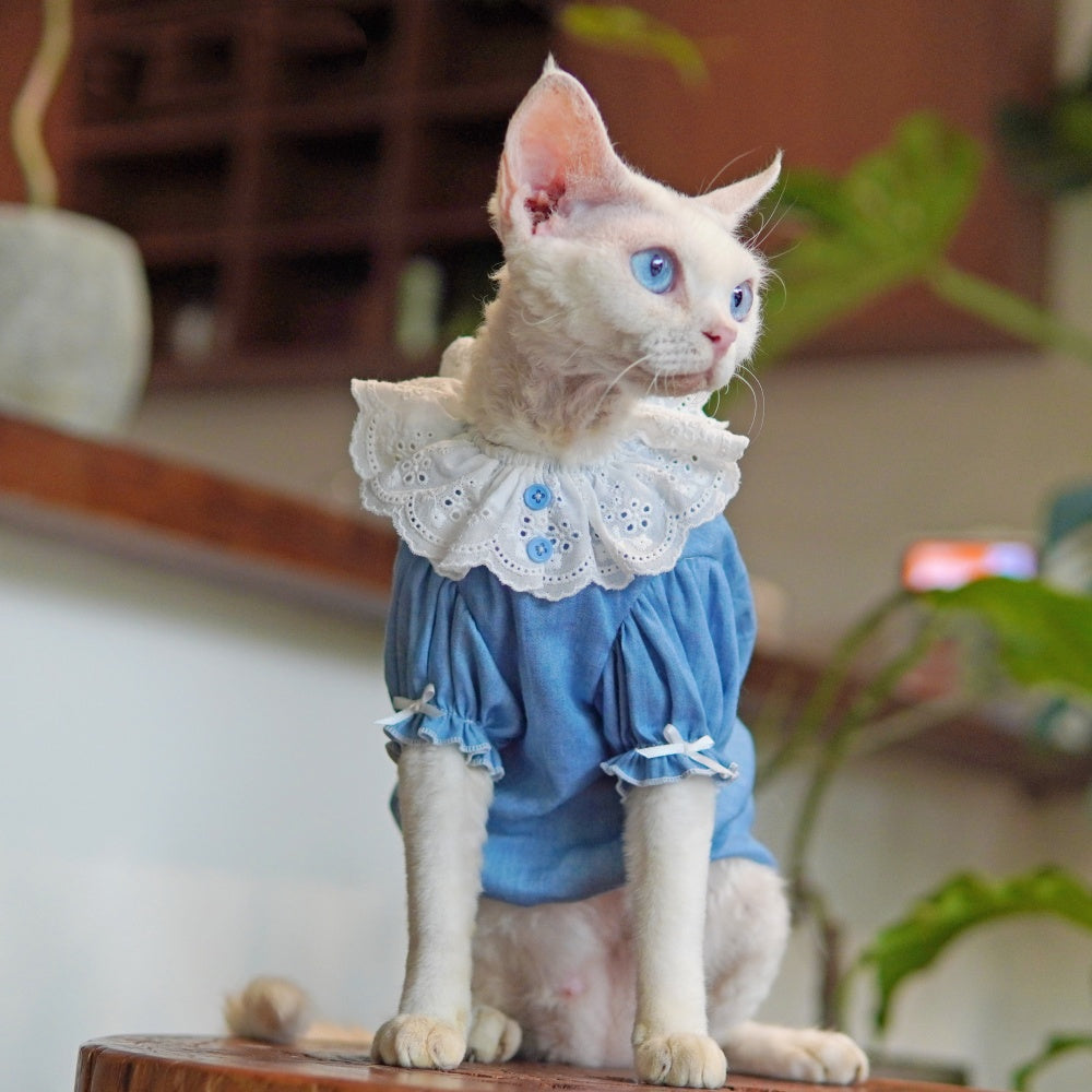 Sommerkleid für Sphynx-Katzen