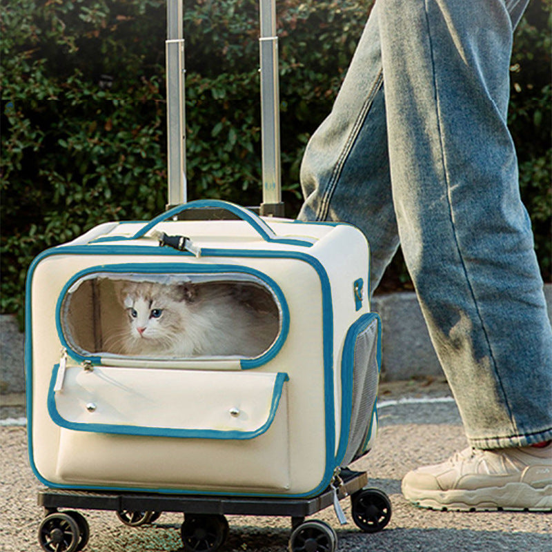 Katzenrucksack mit 32L Kapazität