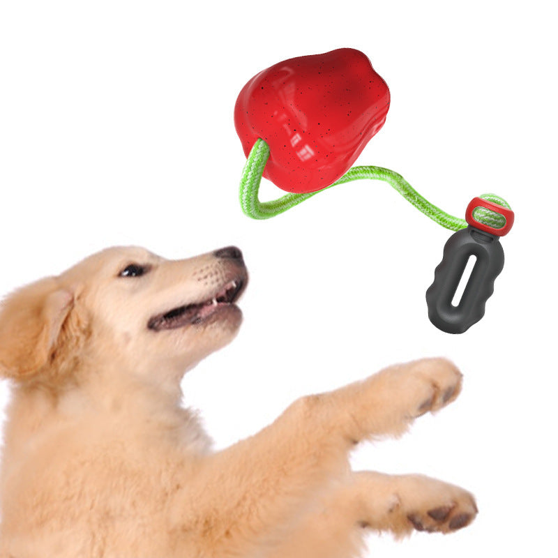 Kau-Spielball für Hunde – Bild 1 | LuxeStyle