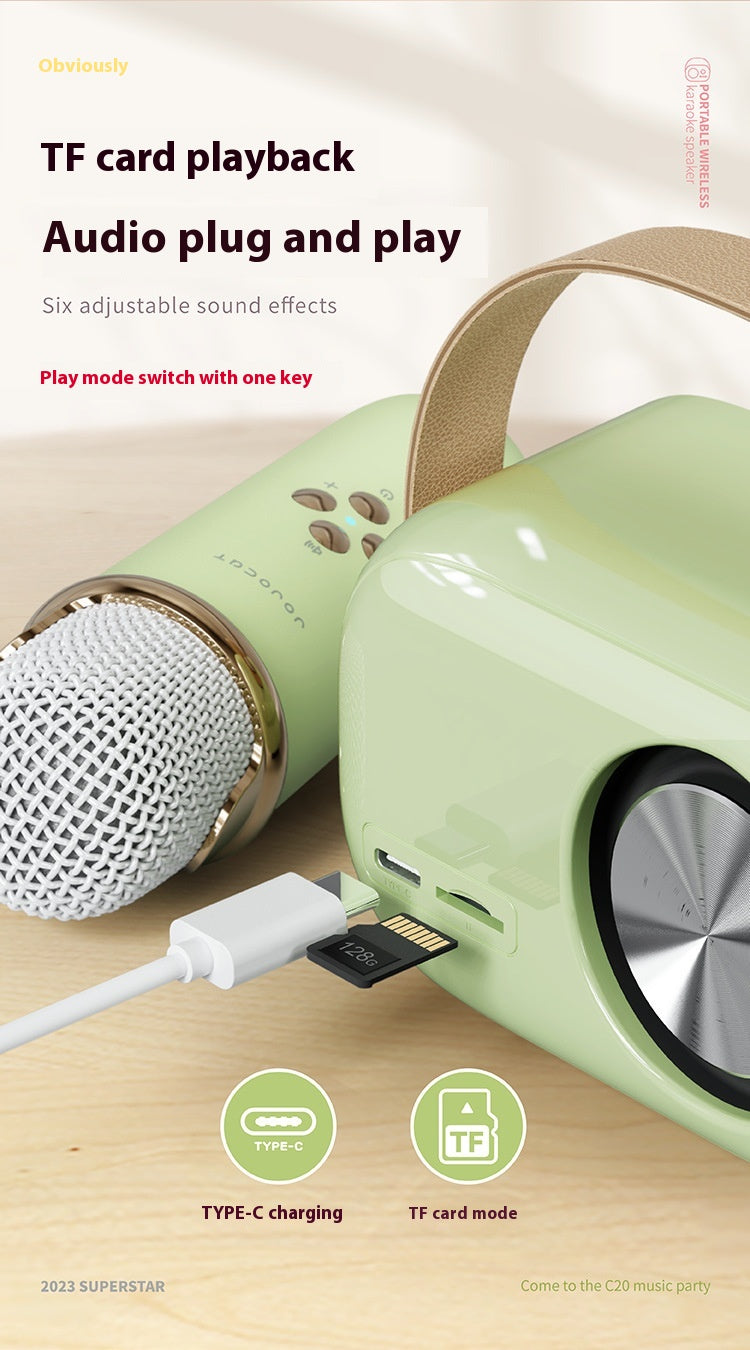 Portables Bluetooth Audio mit kabellosem Mikrofon