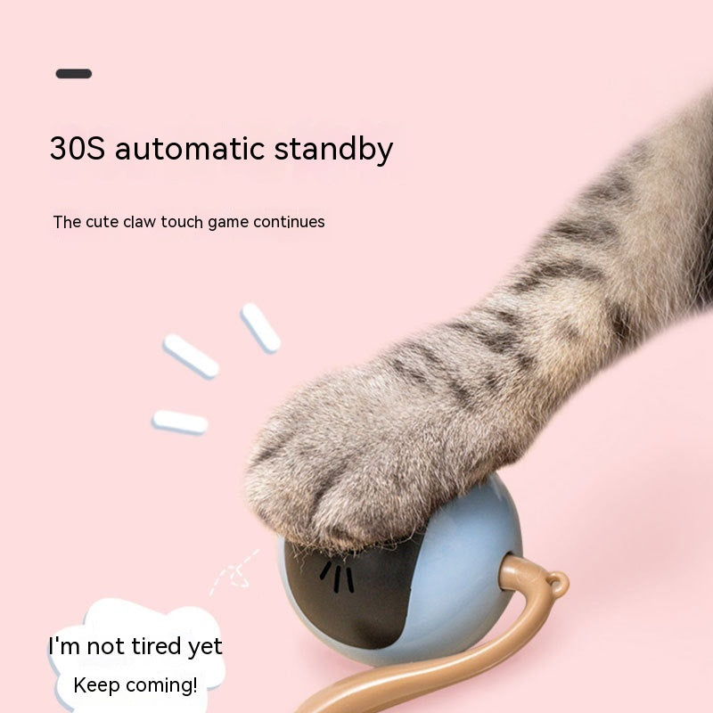 Elektrischer Spielball für Katzen