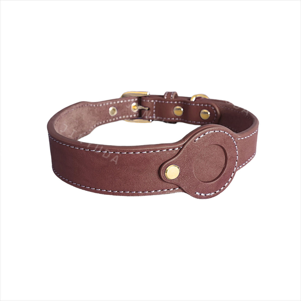 Abnehmbares Lederhalsband für Hunde