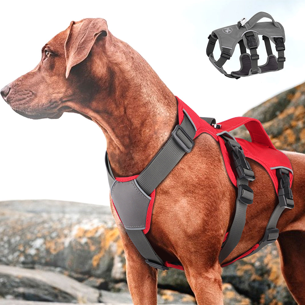 Hundegeschirr verstellbar mit Brustgurt – Bild 5 | LuxeStyle