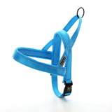 Farbe: Himmelblau