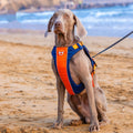 Hunde-Brustgeschirr im Weste-Stil | LuxeStyle
